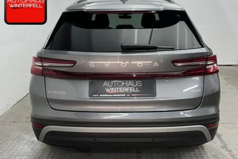 Skoda Kodiaq din 2024 cu 45.012 km - oferta SKO226115 - foto 7