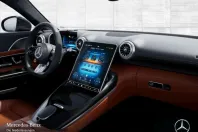Mercedes-Benz AMG GT (Clasa GT) din 2024 cu 8.772 km - oferta MER226202 - foto 10