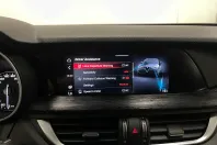 Alfa Romeo Stelvio din 2021 cu 162.212 km - oferta ALF226437 - foto 14