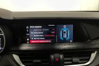 Alfa Romeo Stelvio din 2021 cu 162.212 km - oferta ALF226437 - foto 15