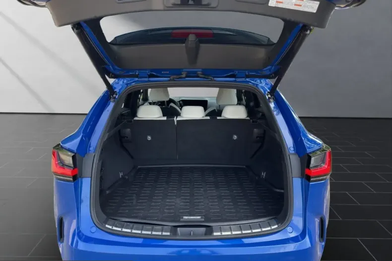 Lexus NX 450h din 2022 cu 46.658 km - oferta LEX226725 - foto 19