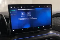 Skoda Kodiaq din 2025 cu 41.499 km - oferta SKO226764 - foto 18