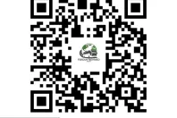 Lamborghini Urus din 2024 cu 8.798 km - oferta LAM228875 - foto 26