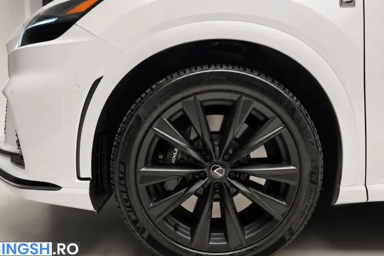 Lexus RX 500 din 2024 cu 32.898 km - oferta LEX229903 - foto 24
