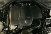 Mercedes-Benz E 220 (Clasa E) din 2025 cu 24.948 km - oferta MER230144 - foto 13