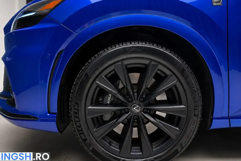 Lexus RX 500 din 2023 cu 31.191 km - oferta LEX230735 - foto 13