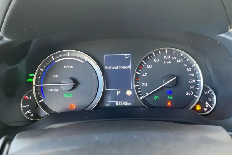 Lexus RX 450 din 2022 cu 54.333 km - oferta LEX231249 - foto 12