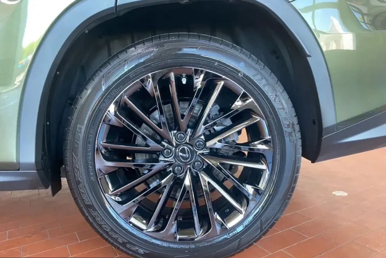 Lexus RX 450 din 2022 cu 54.333 km - oferta LEX231249 - foto 27