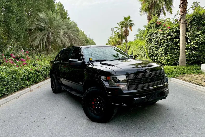 Ford F 150 din 2015 cu 47.900 km - oferta FOR232890 - foto 15