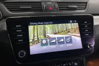 Skoda Superb din 2020 cu 77.928 km - oferta SKO233118 - foto 13