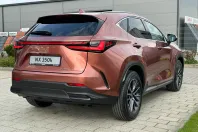 Lexus Seria NX din 2026 cu 1 km - oferta LEX233854 - foto 7