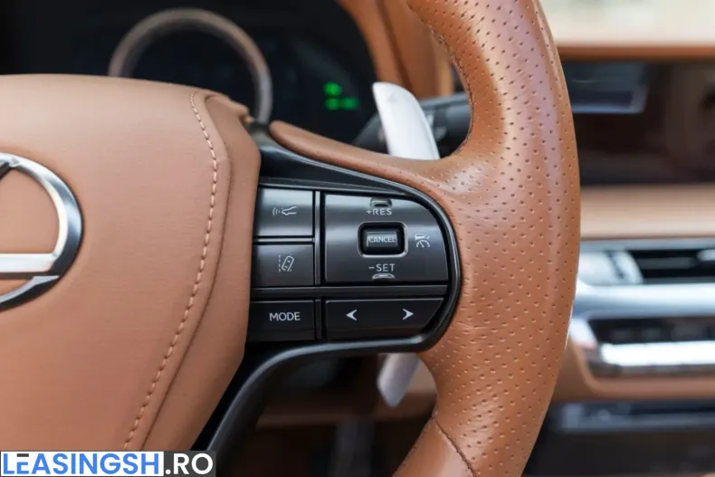 Lexus LC 500 din 2022 cu 47.811 km - oferta LEX234109 - foto 13