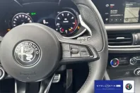 Alfa Romeo Stelvio din 2025 cu 20.000 km - oferta ALF235089 - foto 10