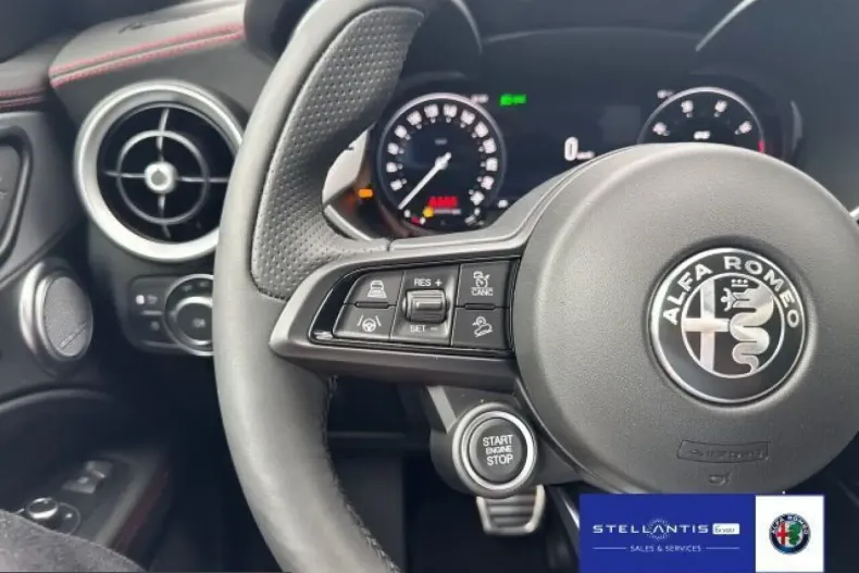 Alfa Romeo Stelvio din 2025 cu 20.000 km - oferta ALF235089 - foto 11