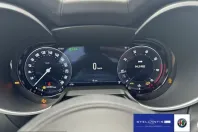 Alfa Romeo Stelvio din 2025 cu 20.000 km - oferta ALF235089 - foto 13