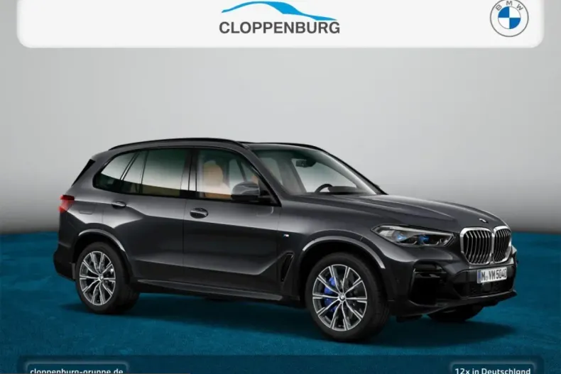 BMW X5 (Seria X) din 2022 cu 87.414 km - oferta BMW236060 - foto 10