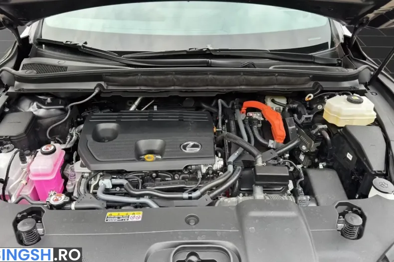 Lexus RX 350 din 2025 cu 4.210 km - oferta LEX236697 - foto 7