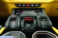 Lamborghini Urus din 2025 cu 1.290 km - oferta LAM236959 - foto 25