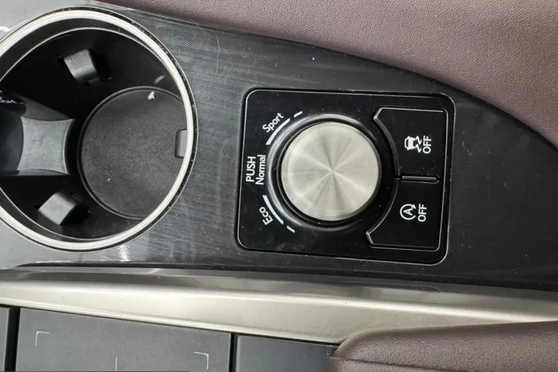 Lexus RX 300 din 2022 cu 98.000 km - oferta LEX237034 - foto 20
