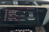 Audi e-tron din 2022 cu 92.400 km - oferta AUD239378 - foto 30