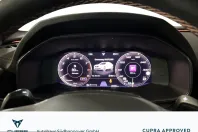 Cupra Formentor din 2023 cu 24.553 km - oferta CUP239656 - foto 11