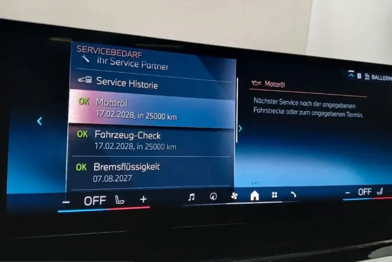 BMW X5 (Seria X) din 2024 cu 31.200 km - oferta BMW241555 - foto 15