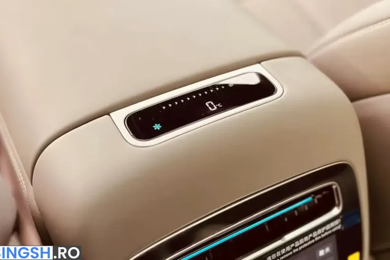 BYD Denza N9 din 2025 cu 100 km - oferta BYD241936 - foto 6
