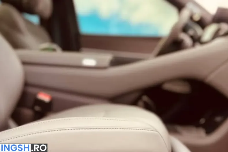 BYD Denza N9 din 2025 cu 100 km - oferta BYD241936 - foto 19