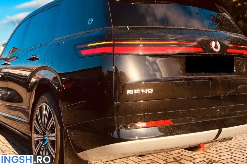 BYD Denza N9 din 2025 cu 100 km - oferta BYD241936 - foto 26