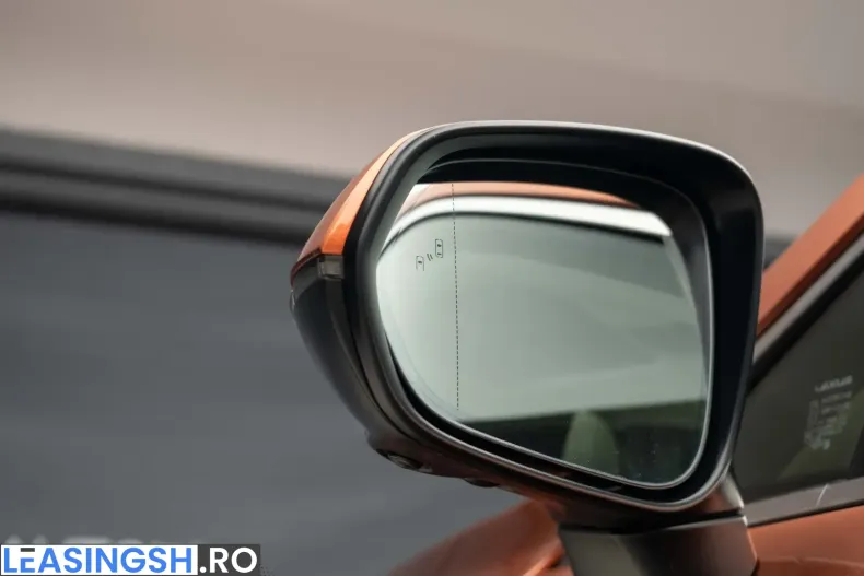 Lexus RX 450 din 2024 cu 19.400 km - oferta LEX242012 - foto 8