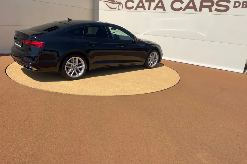 Audi A5 din 2020 cu 173.000 km - oferta AUD242045 - foto 15
