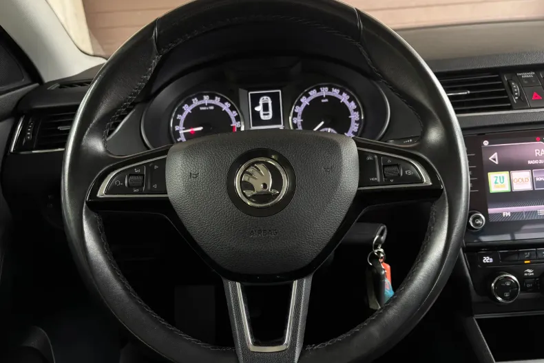 Skoda Octavia din 2020 cu 179.000 km - oferta SKO242104 - foto 14