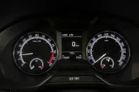 Skoda Octavia din 2020 cu 179.000 km - oferta SKO242104 - foto 15