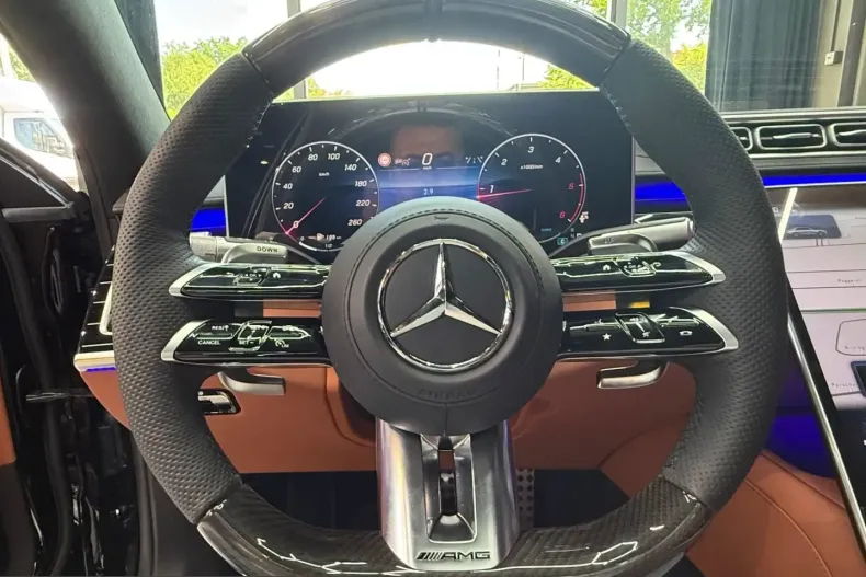 Mercedes-Benz S 450 (Clasa S) din 2025 cu 17.071 km - oferta MER242453 - foto 27