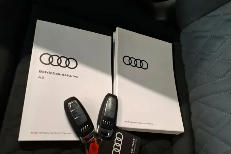 Audi RS3 din 2024 cu 27.750 km - oferta AUD242847 - foto 7