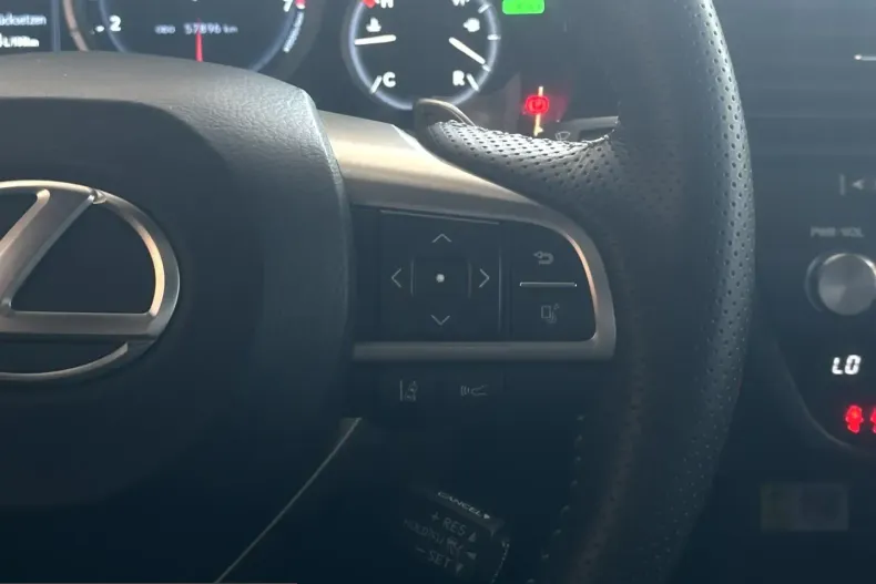 Lexus RX 450 din 2022 cu 57.573 km - oferta LEX243273 - foto 14