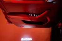 Skoda Octavia din 2022 cu 147.304 km - oferta SKO243526 - foto 16