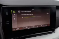 Skoda Octavia din 2021 cu 127.497 km - oferta SKO243541 - foto 21