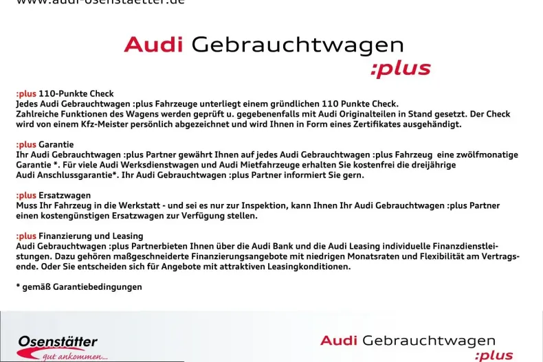Audi RS3 din 2024 cu 51.041 km - oferta AUD243736 - foto 21
