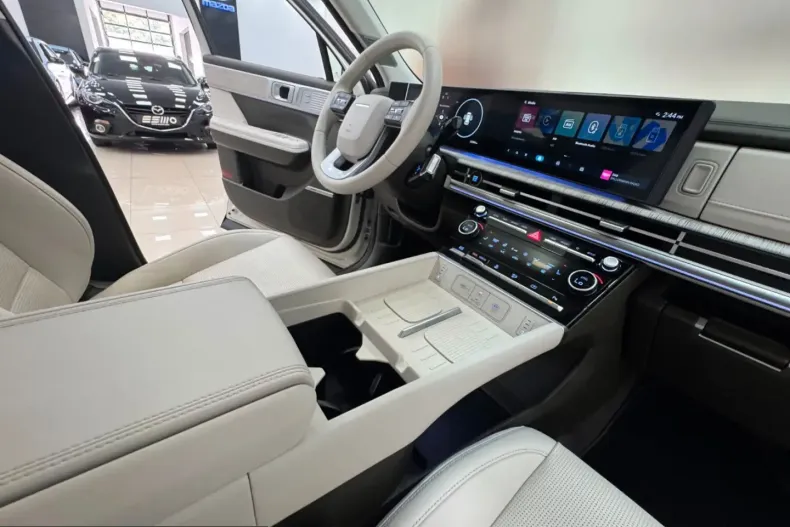 Hyundai Santa Fe din 2025 cu 29.399 km - oferta HYU243775 - foto 29