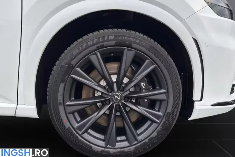 Lexus RX 500 din 2026 cu 51 km - oferta LEX243852 - foto 10