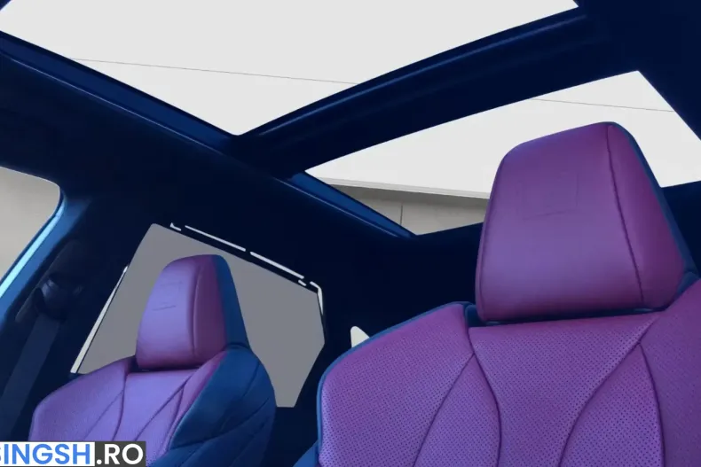 Lexus RX 500 din 2026 cu 51 km - oferta LEX243856 - foto 11