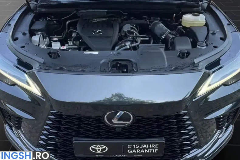 Lexus RX 500 din 2024 cu 9.200 km - oferta LEX243858 - foto 8