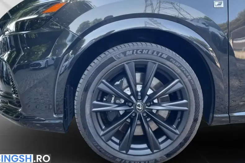 Lexus RX 500 din 2024 cu 9.200 km - oferta LEX243858 - foto 9
