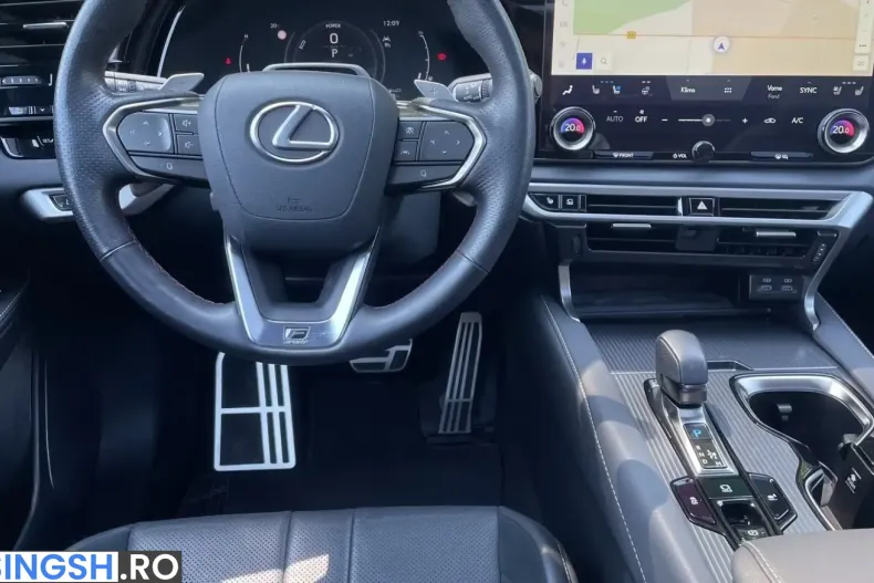 Lexus RX 500 din 2024 cu 9.200 km - oferta LEX243858 - foto 18