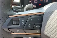 Cupra Terramar din 2025 cu 8.400 km - oferta CUP243882 - foto 9