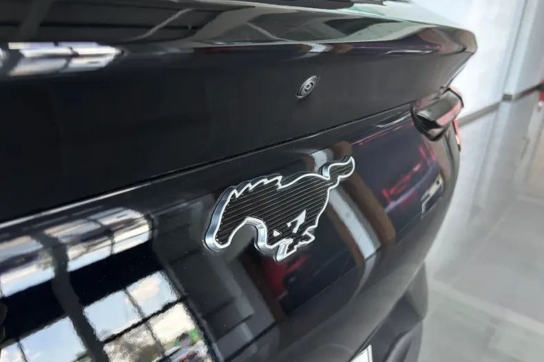 Ford Mustang Mach-E din 2023 cu 51.000 km - oferta FOR244107 - foto 16