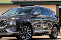 Hyundai Santa Fe din 2022 cu 125.000 km - oferta HYU244276 - foto 9