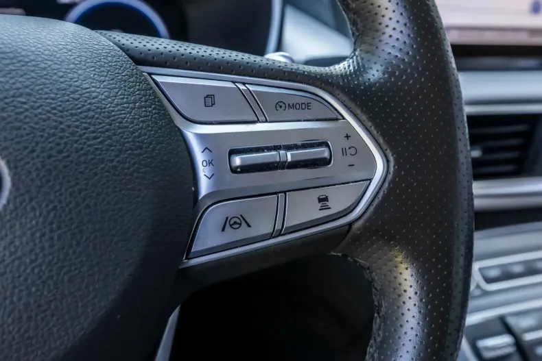 Hyundai Santa Fe din 2022 cu 125.000 km - oferta HYU244276 - foto 25