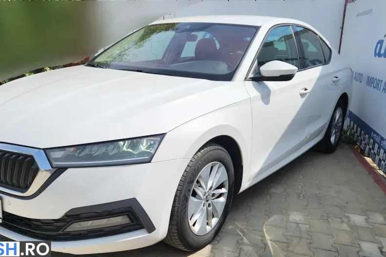 Skoda Octavia din 2021 cu 179.000 km - oferta SKO244440 - foto 5